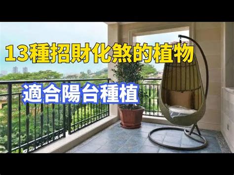 後陽台風水植物|陽台風水全攻略：避免前後陽台8大擺設禁忌，遠離這些常見錯誤